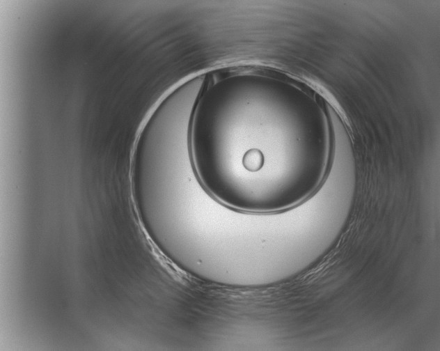 X0000072521148200607290152