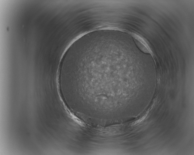 X0000072521149200607290152