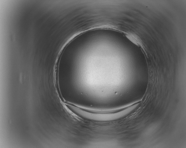 X0000072521151200607290152