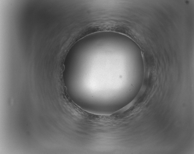 X0000072521153200607290151