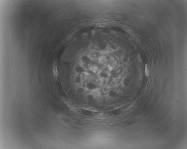 X0000072521155200607290151