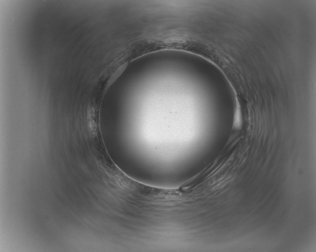 X0000072521156200607290151