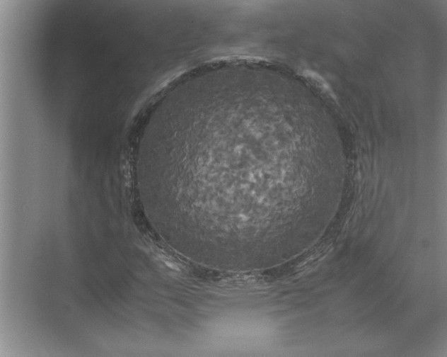 X0000072521159200607290151