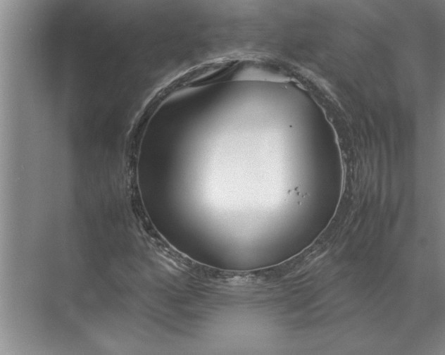 X0000072521160200607290151