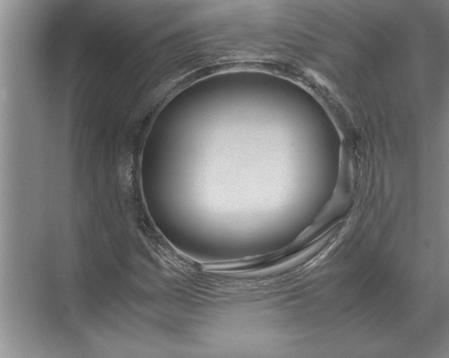 X0000072521161200607290151