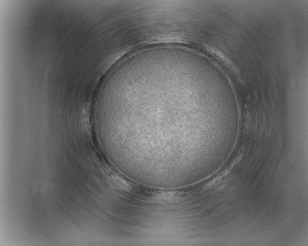 X0000072521162200607290151