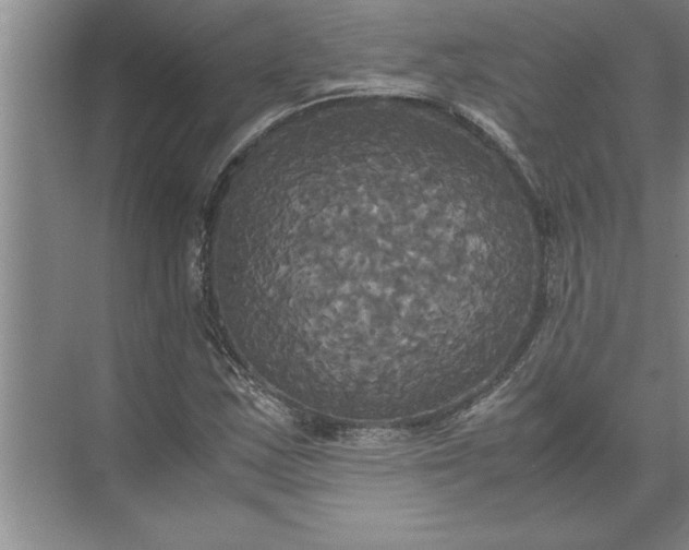 X0000072521163200607290151