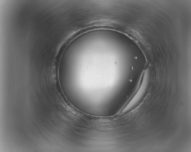 X0000072521164200607290151