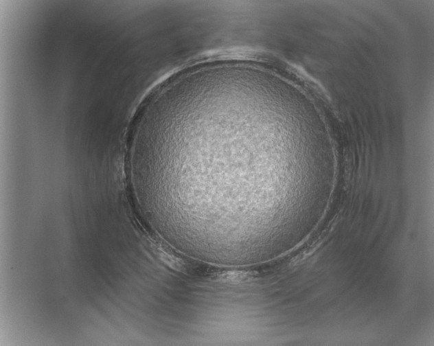 X0000072521166200607290151