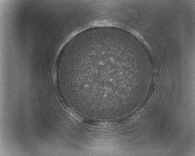 X0000072521167200607290151