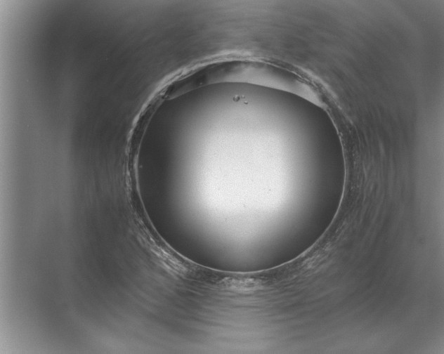 X0000072521168200607290151