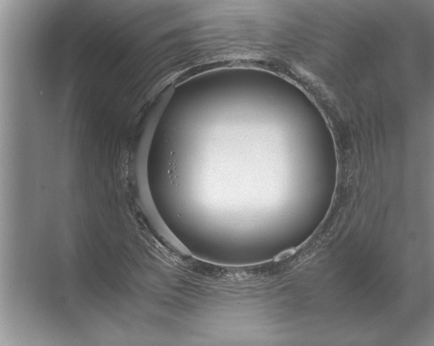 X0000072521169200607290151