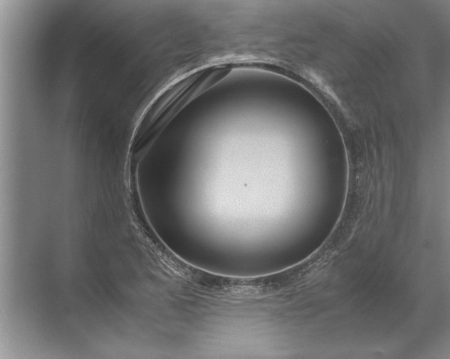 X0000072521173200607290150