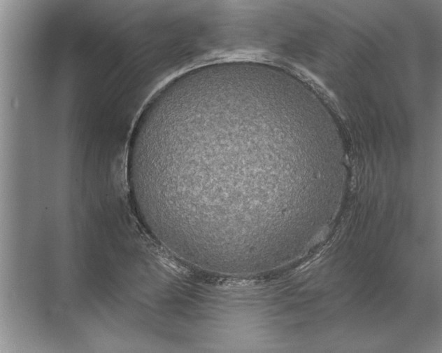 X0000072521174200607290150