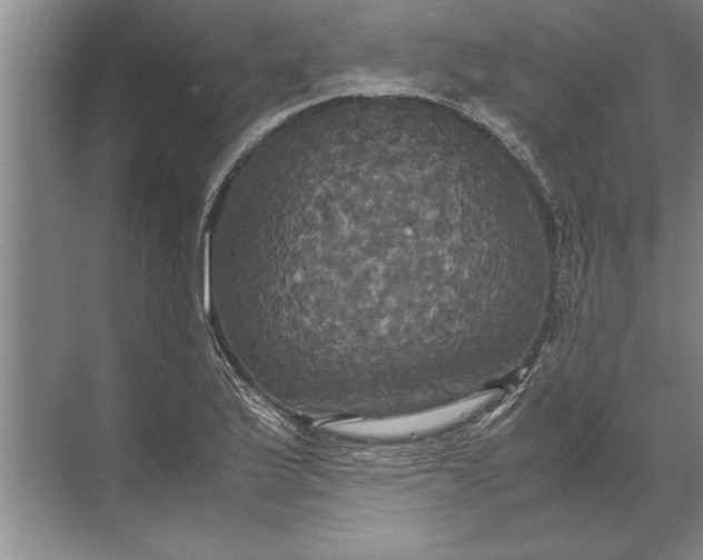 X0000072521175200607290150