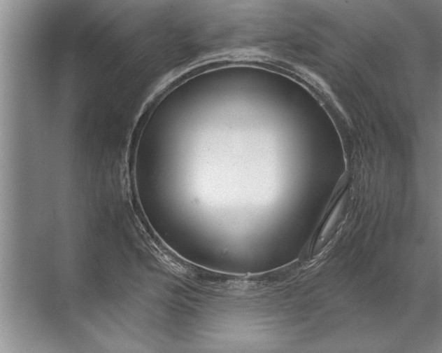 X0000072521176200607290150