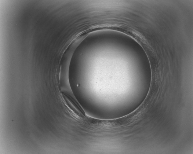 X0000072521177200607290150