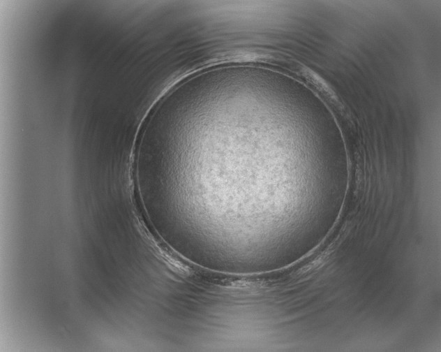 X0000072521178200607290150