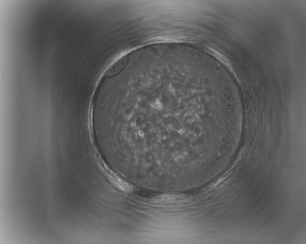 X0000072521179200607290150