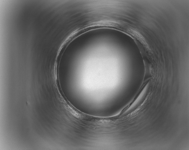 X0000072521180200607290150