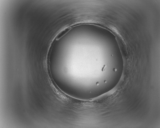 X0000072521181200607290150