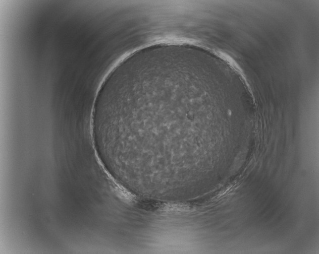 X0000072521183200607290150