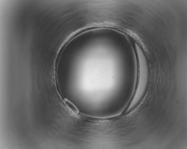 X0000072521184200607290150