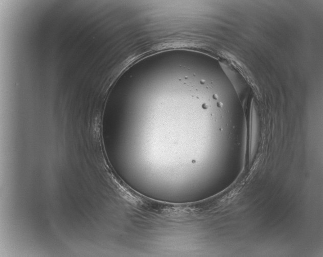 X0000072521185200607290150