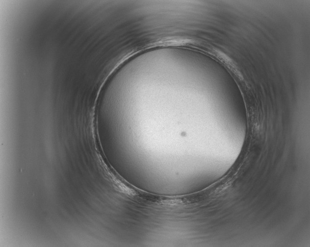 X0000072521186200607290150