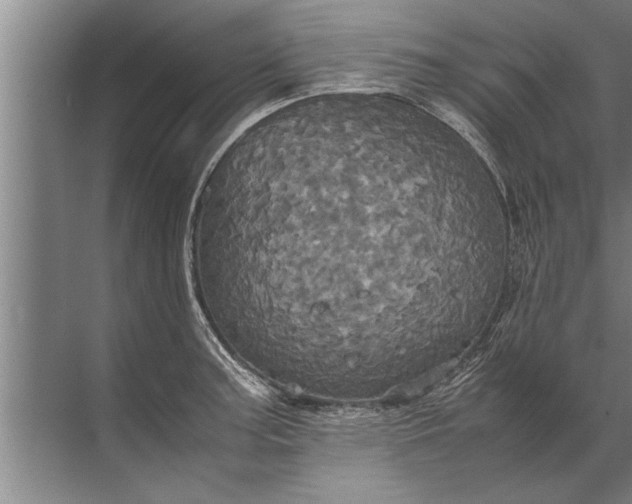 X0000072521187200607290150