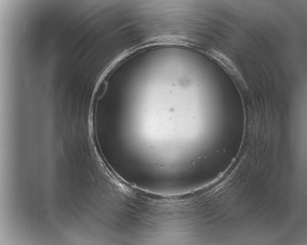 X0000072521188200607290150