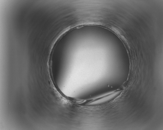 X0000072521189200607290150