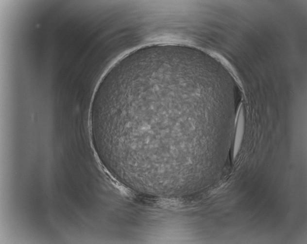 X0000072521191200607290150