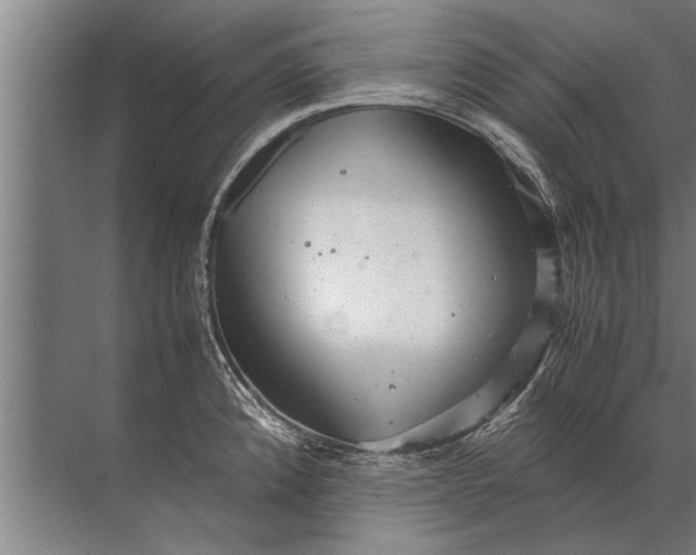 X0000072521192200607290150