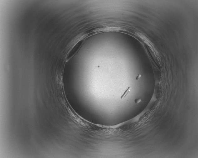 X0000072521193200607290150