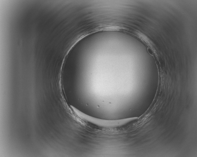 X0000072521194200607290150