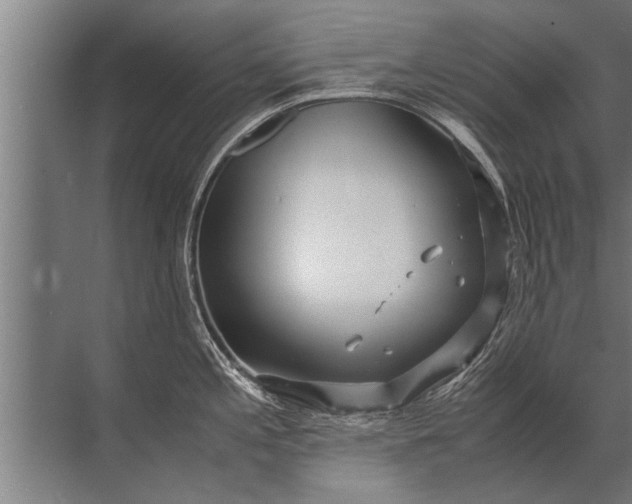 X0000072521197200607290150