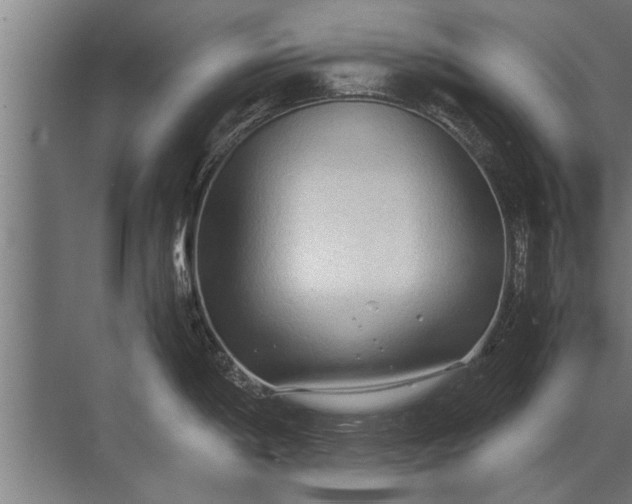 X0000072521198200607290150