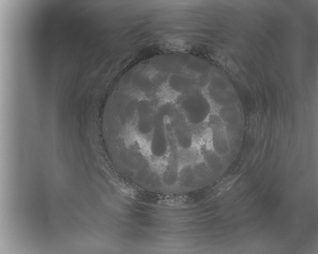 X0000072521201200607290149