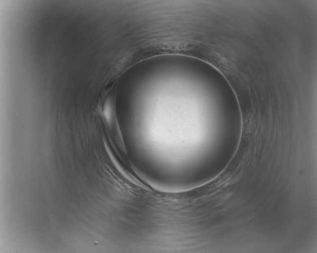 X0000072521202200607290149