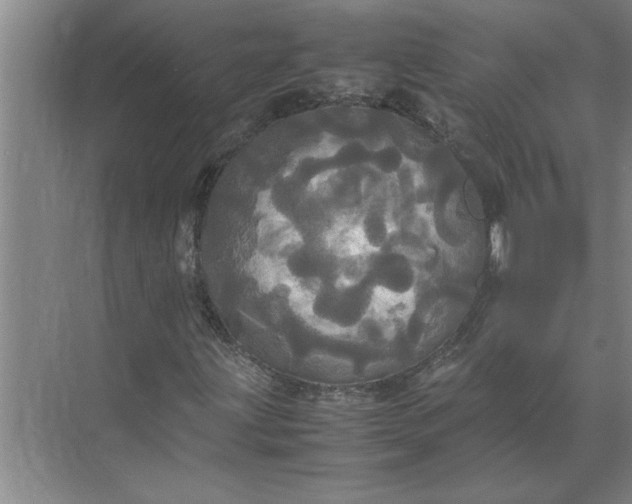 X0000072521203200607290149