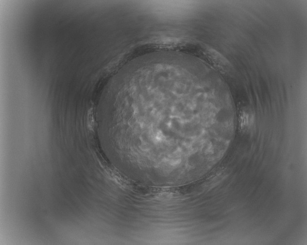 X0000072521204200607290149