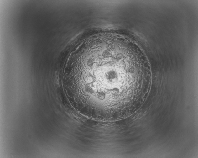 X0000072521205200607290149