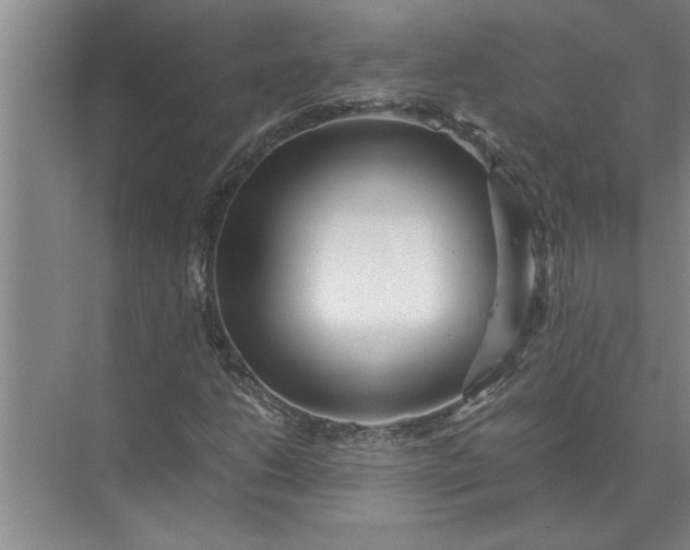 X0000072521206200607290149