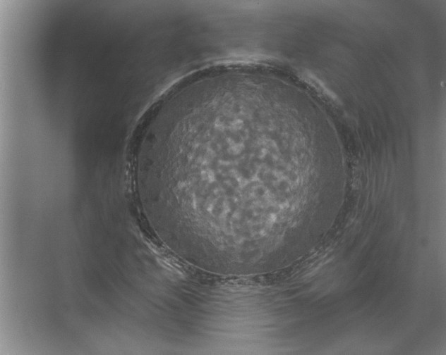 X0000072521208200607290149