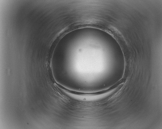 X0000072521210200607290149