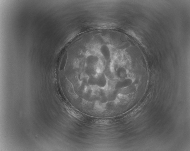 X0000072521211200607290149