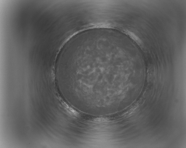 X0000072521212200607290149