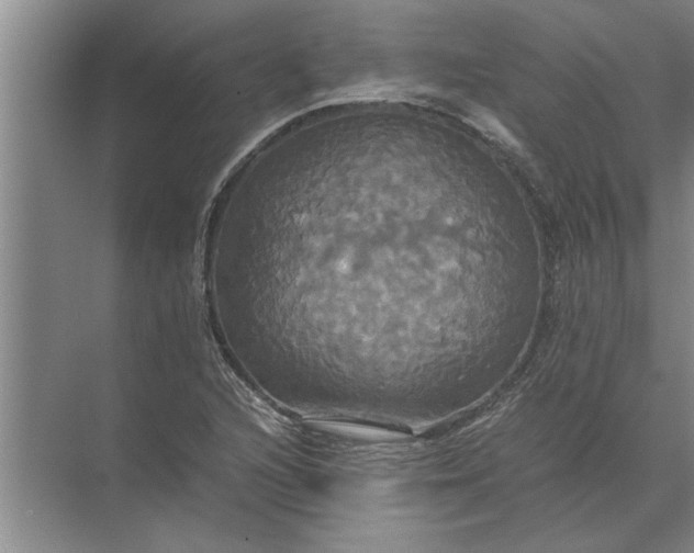 X0000072521216200607290149