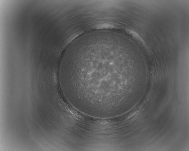 X0000072521217200607290149